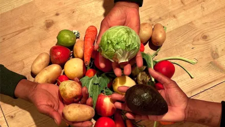 Ein kleiner Haufen mit unterschiedlichem Gemüse und Obst liegt auf einer Holzunterfläche. Darüber sind drei Hände, eine hält einen Salatkopf, eine Kartoffeln, eine eine Avocado.