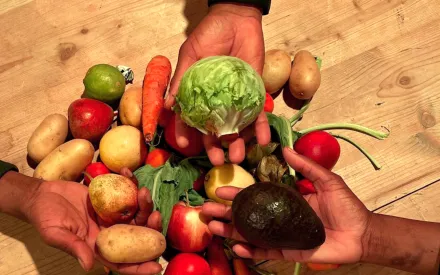 Ein kleiner Haufen mit unterschiedlichem Gemüse und Obst liegt auf einer Holzunterfläche. Darüber sind drei Hände, eine hält einen Salatkopf, eine Kartoffeln, eine eine Avocado.