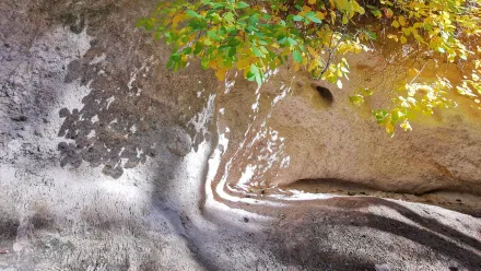 Ein Spiel aus Licht und Schatten, dass durch ein Blätterdach auf einen Stein fällt. Der Stein siet aus wie ein Gesicht mit Haaren aus Blättern